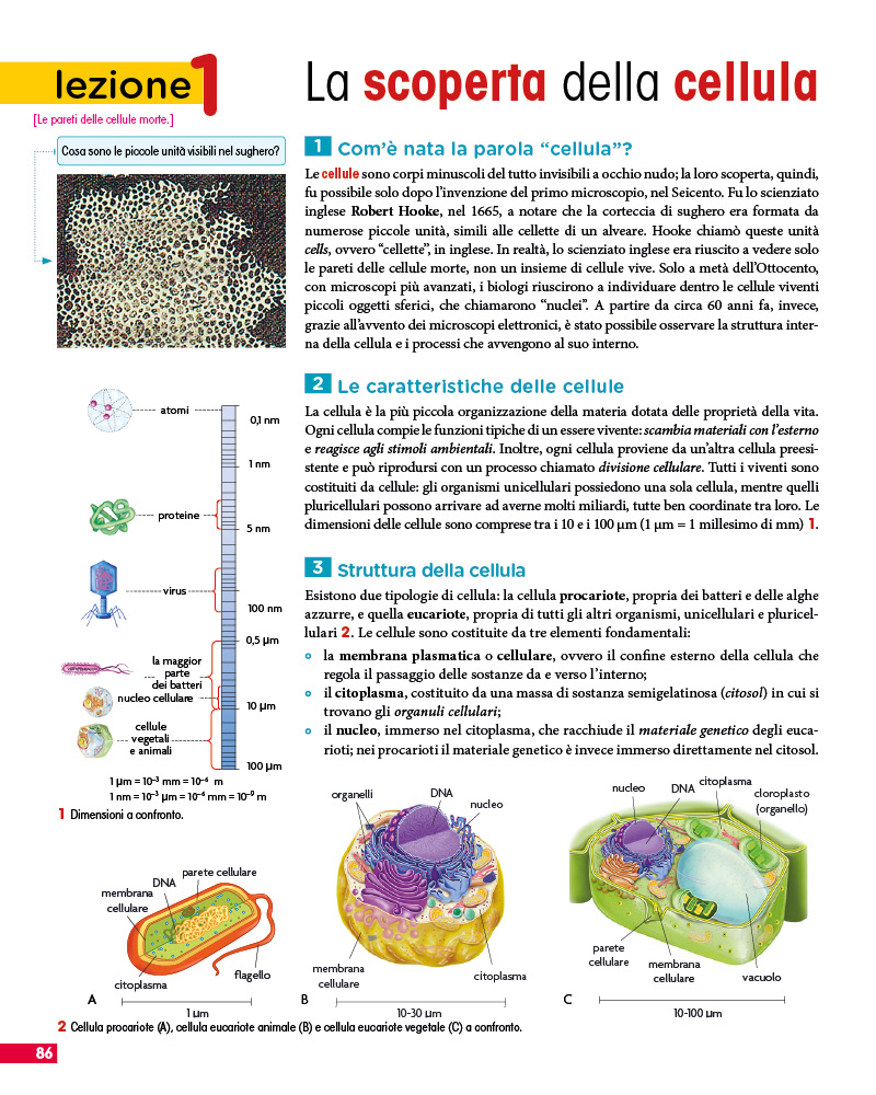 Scopri di più sull'articolo Mondadori Life